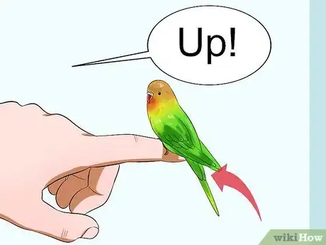 Image titled Train Your Budgie Step 5