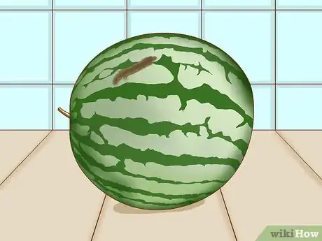 Image titled Tell if a Watermelon Is Bad Step 1