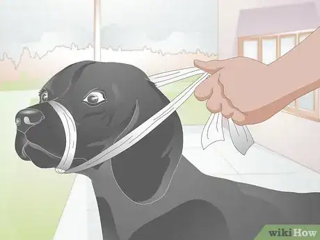 Image titled Apply a Gauze Muzzle to a Dog Step 7