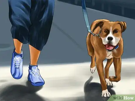 Image titled Encourage Your Senior Dog to Play Step 8