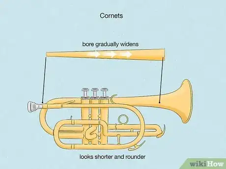 Image titled Cornet vs Trumpet Step 5