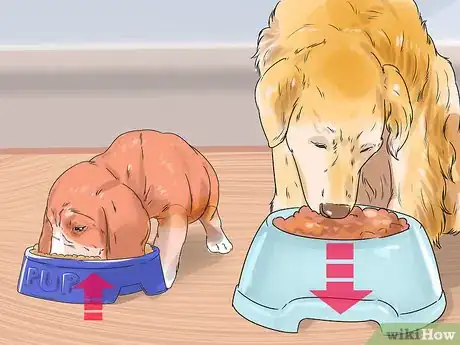 Image titled Feed Your Dog Naturally Step 15