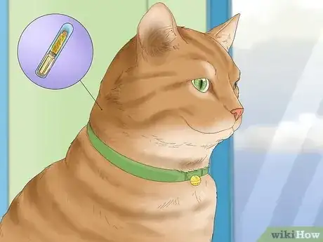 Image titled Introduce a Cat to a New Home Step 16