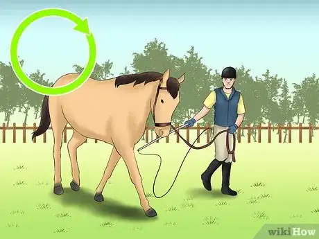 Image titled Teach Your Horse to Lunge Step 7