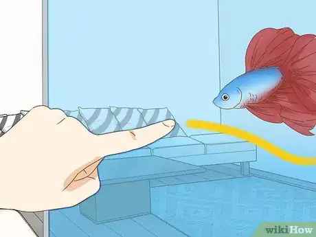 Image titled Grow a Bond With Your Betta Fish Step 9