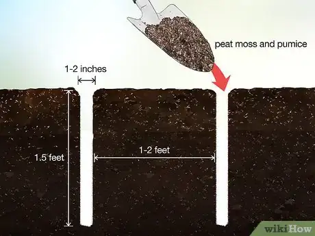 Image titled Fix Root Rot Step 21