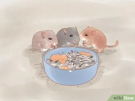 Image titled Breed Gerbils Step 11