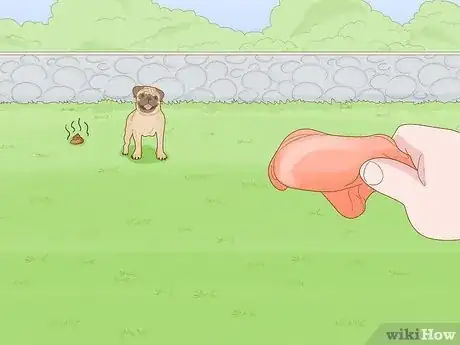 Image titled Stop a Dog from Eating Poop with Pineapple Step 9