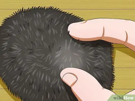 Image titled Clean Hedgehog Quills Step 6