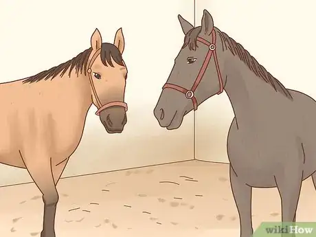 Image titled Take Care of Your Horse Step 29