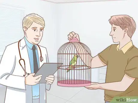 Image titled Tell if Your Bird Has Mites Step 10