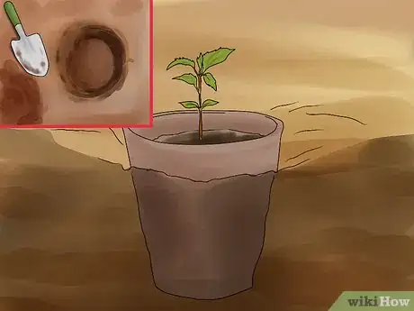 Image titled Plant Apple Seeds Step 18