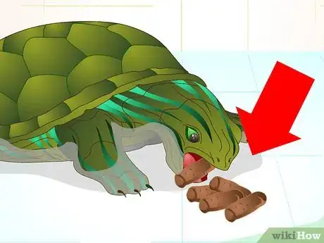 Image titled Put a Sucker Fish in a Tank With a Turtle Step 1