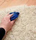 Get Stains Out of Carpet