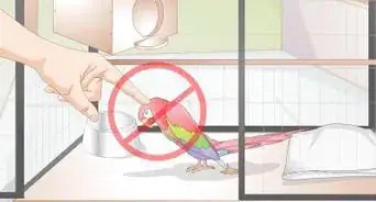 Toilet Train a Parrot