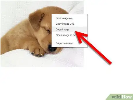 Image titled Put Google Images in Email Step 11
