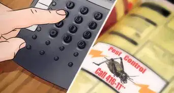 Kill a Cricket that's Loose in Your House
