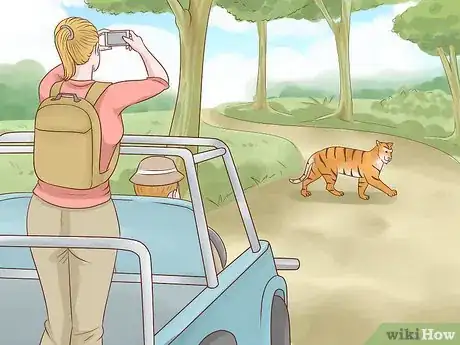 Image titled Help Save Tigers Step 5