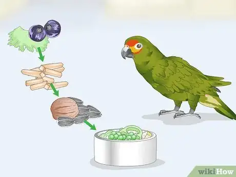 Image titled Deal with an Aggressive Amazon Parrot Step 2
