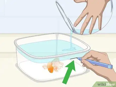 Image titled Clean a Fish Bowl Step 1