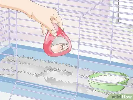 Image titled Wake up Your Hamster Without Scaring It Step 9