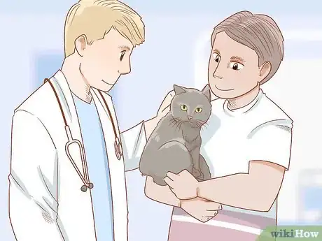 Image titled Diagnose and Treat Anal Gland Disease in Cats Step 6