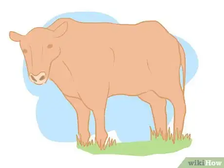 Image titled Collect Semen from a Bull for a Breeding Soundness Exam Step 14