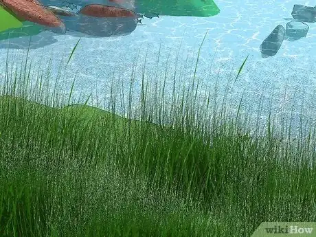 Image titled Fish in a Lake Step 12