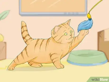 Image titled Earn a Kitten's Trust Step 8