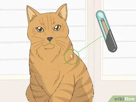 Image titled Keep a Cat from Running Away when It Is Moved Step 1