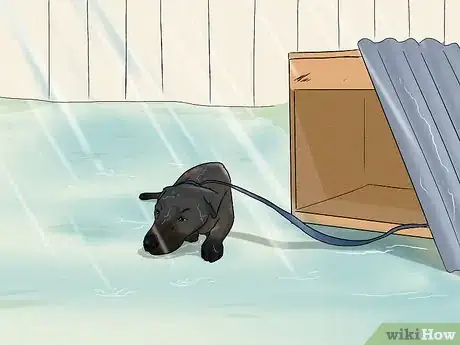 Image titled Remove a Dog from an Unsafe Environment Step 3