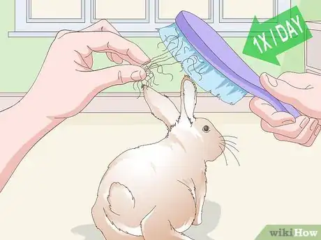 Image titled Keep Your Rabbit's Fur Clean and Untangled Step 19