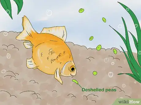 Image titled Tell if Your Fish Is Dead Step 9
