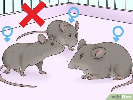 Image titled Care for an Injured Pet Mouse Step 12