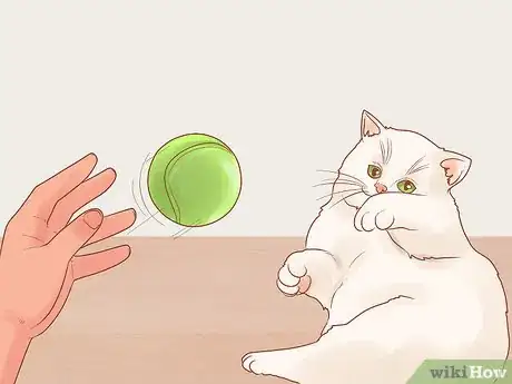 Image titled Stop a Cat from Biting or Scratching During Play Step 7