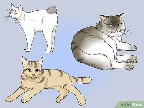 Image titled Use Cats for Pest Control Step 5