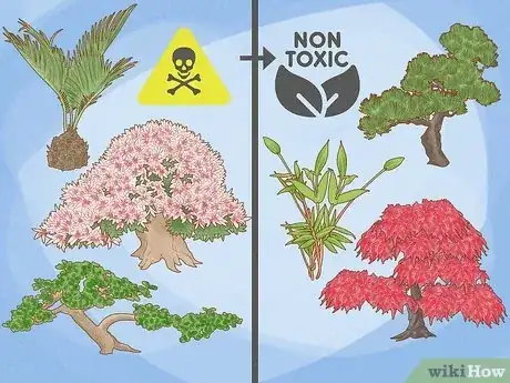 Image titled Are Bonsai Trees Poisonous to Cats Step 1