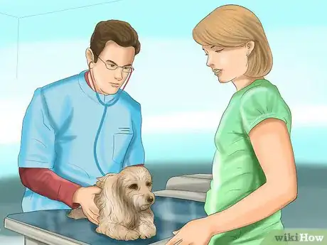 Image titled Detect Pregnancy in Your Female Dog Step 13