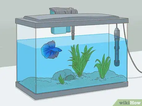 Image titled Grow a Bond With Your Betta Fish Step 2