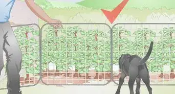Dog Proof a Garden