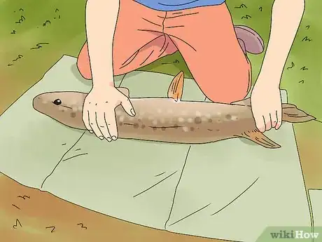 Image titled Hold a Pike Step 1