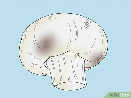 Image titled Tell if Mushrooms Are Bad Step 2