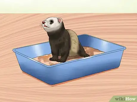 Image titled Ferret Proof a House Step 14