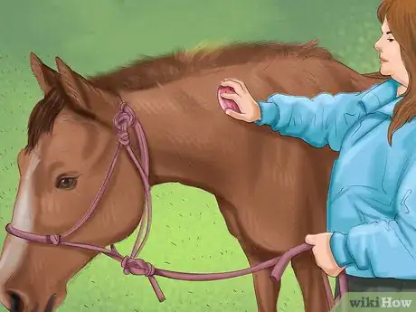 Image titled Know if You Have What It Takes to Own a Horse Step 9