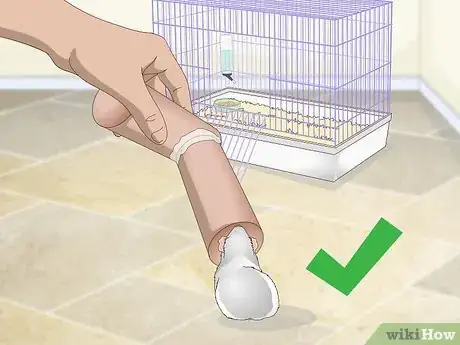 Image titled Supervise Hamsters Outside of the Cage Step 3