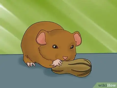 Image titled Name Your Hamster Step 3