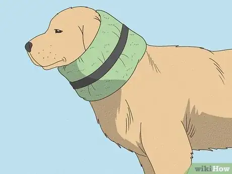 Image titled Make a Dog Cone Step 3