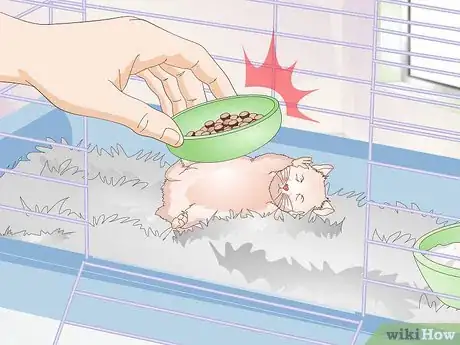 Image titled Wake up Your Hamster Without Scaring It Step 8