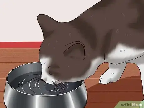 Image titled Give a Cat a Pill Step 20