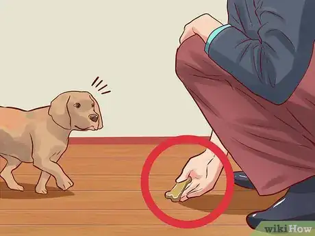 Image titled Teach Your Dog Basic Commands Step 15